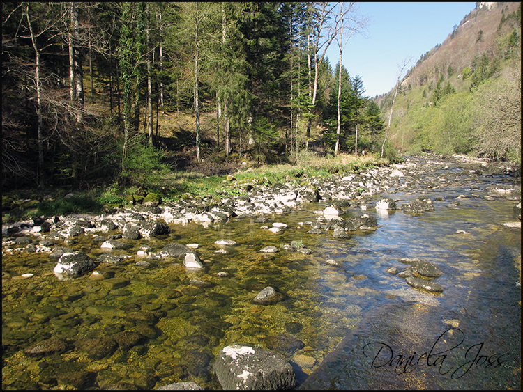 Daniela Joss - Durch die Schlucht der Areuse - Kanton Neuenburg