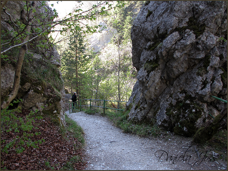 Daniela Joss - Durch die Schlucht der Areuse - Kanton Neuenburg