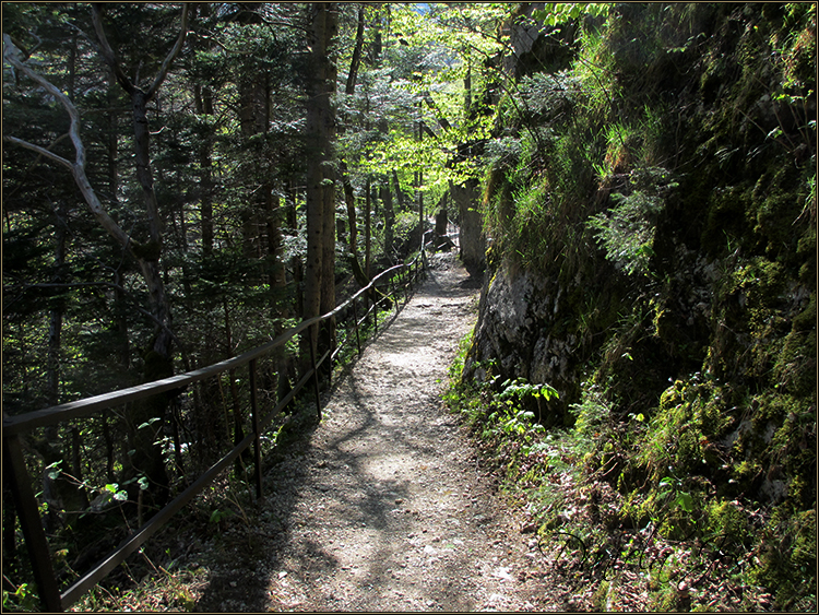 Daniela Joss - Durch die Schlucht der Areuse - Kanton Neuenburg