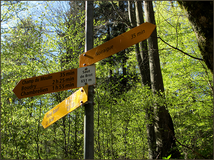 Daniela Joss - Durch die Schlucht der Areuse - Kanton Neuenburg