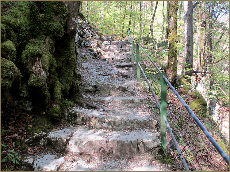 Daniela Joss - Durch die Schlucht der Areuse - Kanton Neuenburg