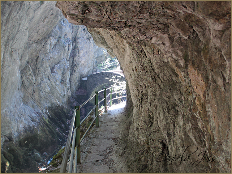 Daniela Joss - Durch die Schlucht der Areuse - Kanton Neuenburg