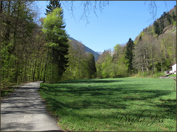 Daniela Joss - Durch die Schlucht der Areuse - Kanton Neuenburg