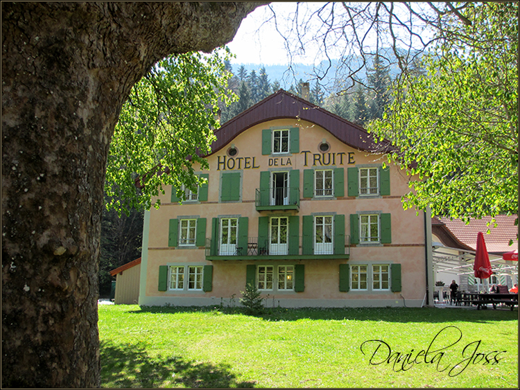 Daniela Joss - Durch die Schlucht der Areuse - Kanton Neuenburg