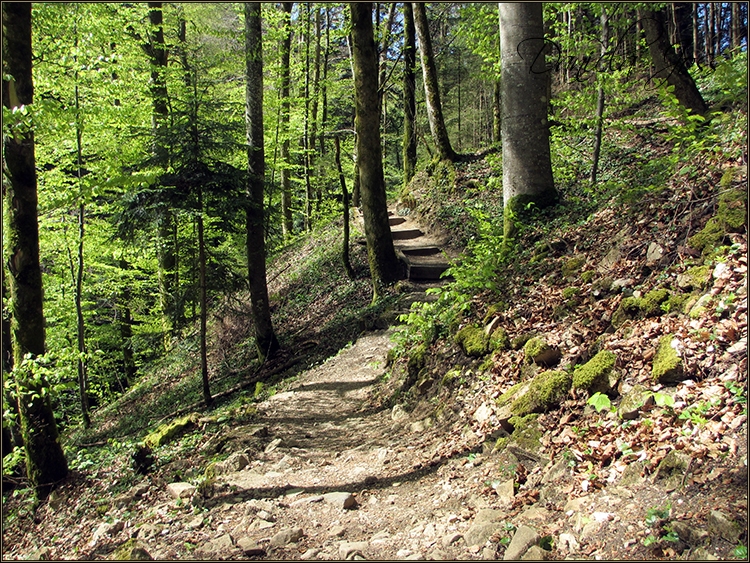 Daniela Joss - Durch die Schlucht der Areuse - Kanton Neuenburg