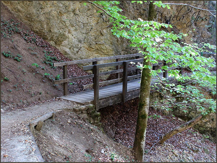 Daniela Joss - Durch die Schlucht der Areuse - Kanton Neuenburg