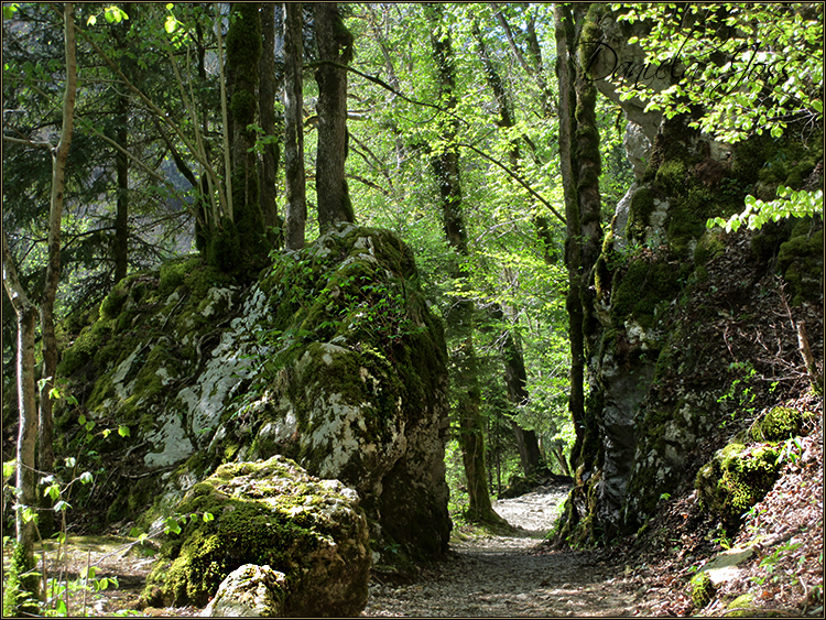 Daniela Joss - Durch die Schlucht der Areuse - Kanton Neuenburg