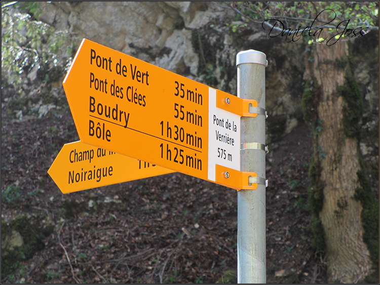 Daniela Joss - Durch die Schlucht der Areuse - Kanton Neuenburg