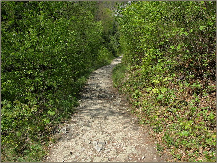 Daniela Joss - Durch die Schlucht der Areuse - Kanton Neuenburg