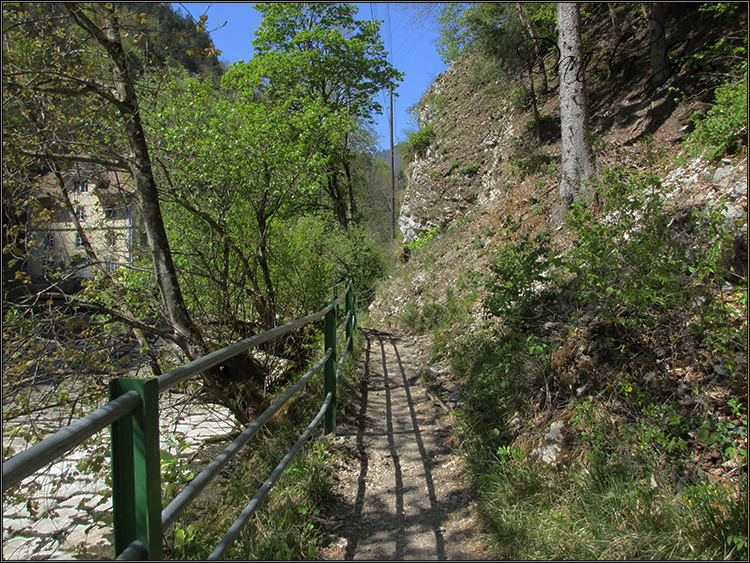 Daniela Joss - Durch die Schlucht der Areuse - Kanton Neuenburg