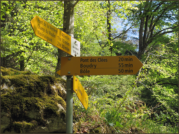 Daniela Joss - Durch die Schlucht der Areuse - Kanton Neuenburg