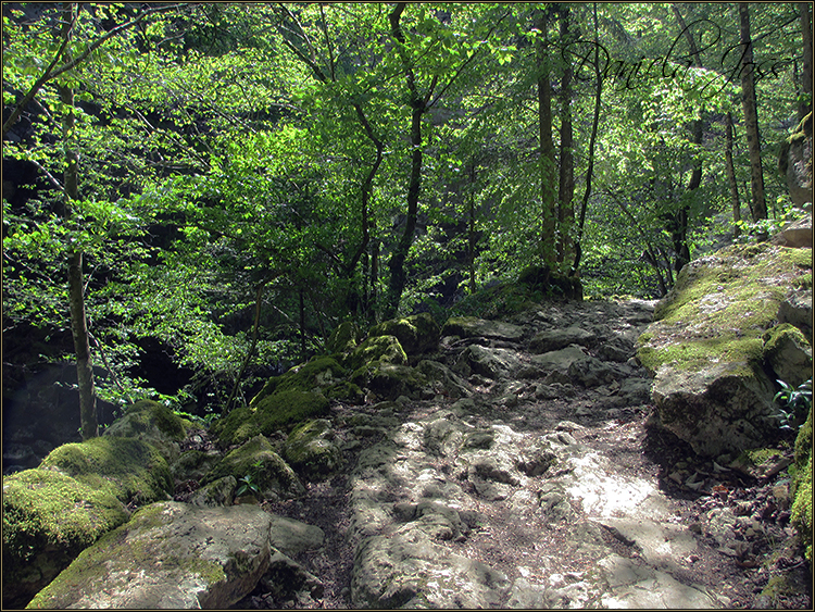 Daniela Joss - Durch die Schlucht der Areuse - Kanton Neuenburg