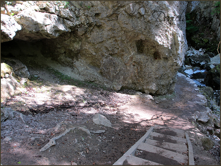 Daniela Joss - Durch die Schlucht der Areuse - Kanton Neuenburg