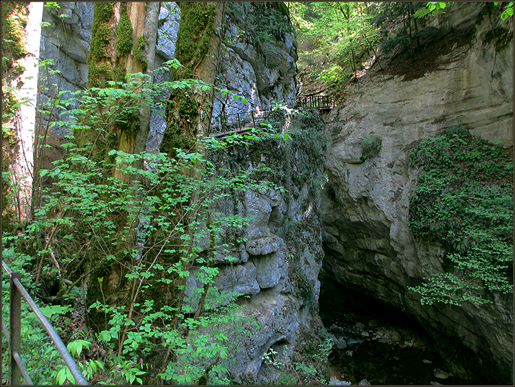 Daniela Joss - Durch die Schlucht der Areuse - Kanton Neuenburg