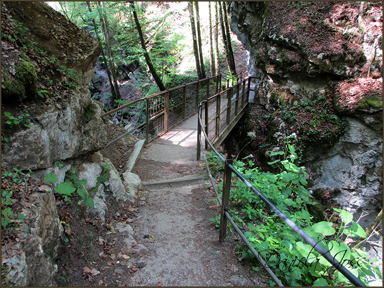 Daniela Joss - Durch die Schlucht der Areuse - Kanton Neuenburg