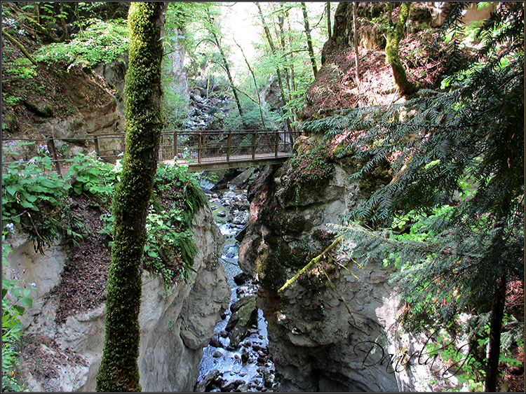 Daniela Joss - Durch die Schlucht der Areuse - Kanton Neuenburg