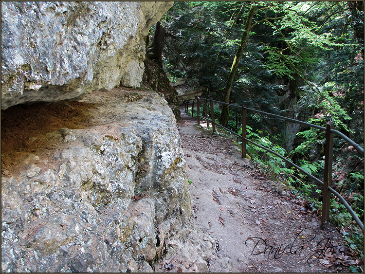 Daniela Joss - Durch die Schlucht der Areuse - Kanton Neuenburg