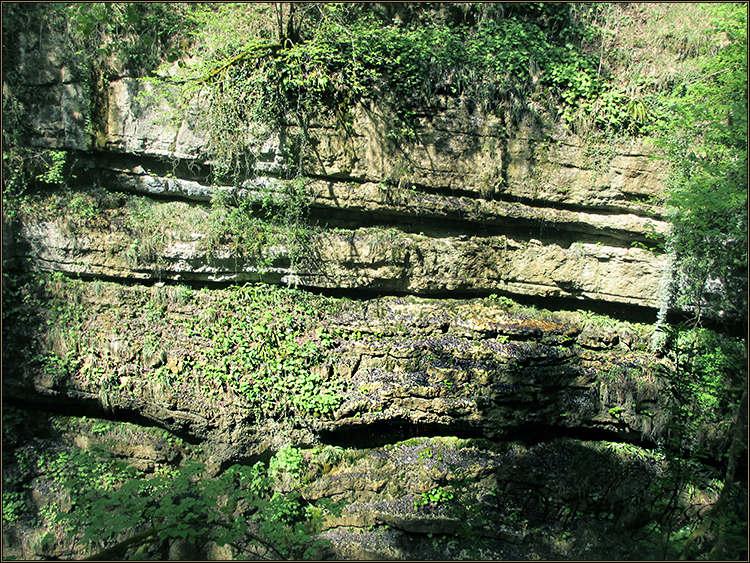 Daniela Joss - Durch die Schlucht der Areuse - Kanton Neuenburg