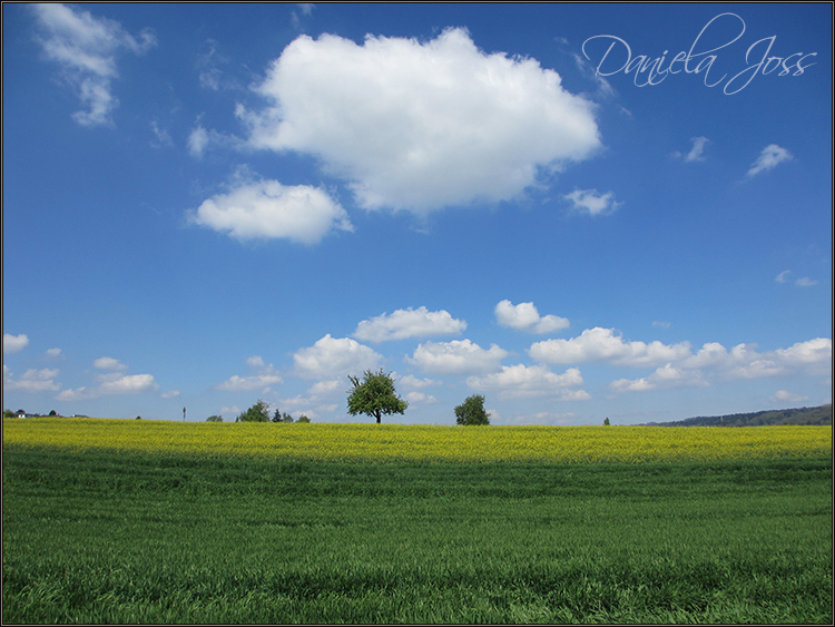 Daniela Joss - Baldegger See-Rundweg