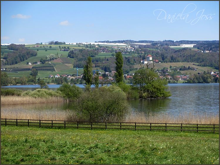 Daniela Joss - Baldegger See-Rundweg