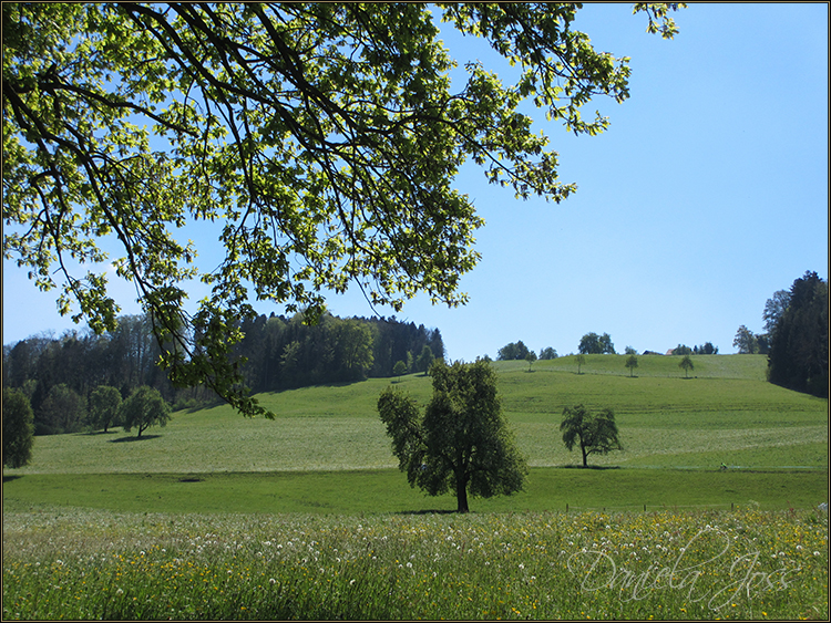 Daniela Joss - Baldegger See-Rundweg