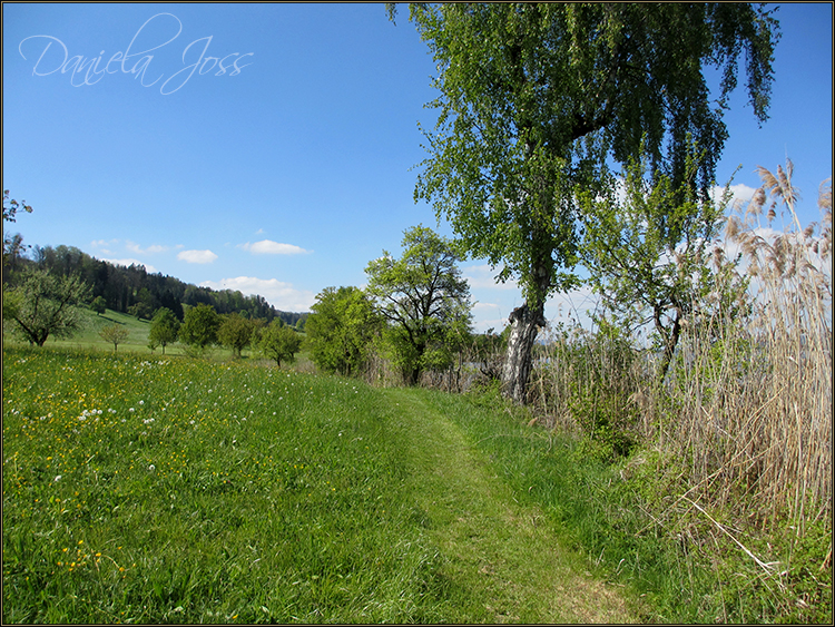 Daniela Joss - Baldegger See-Rundweg