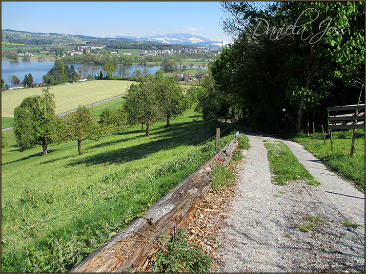 Daniela Joss - Baldegger See-Rundweg