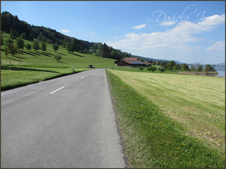 Daniela Joss - Baldegger See-Rundweg