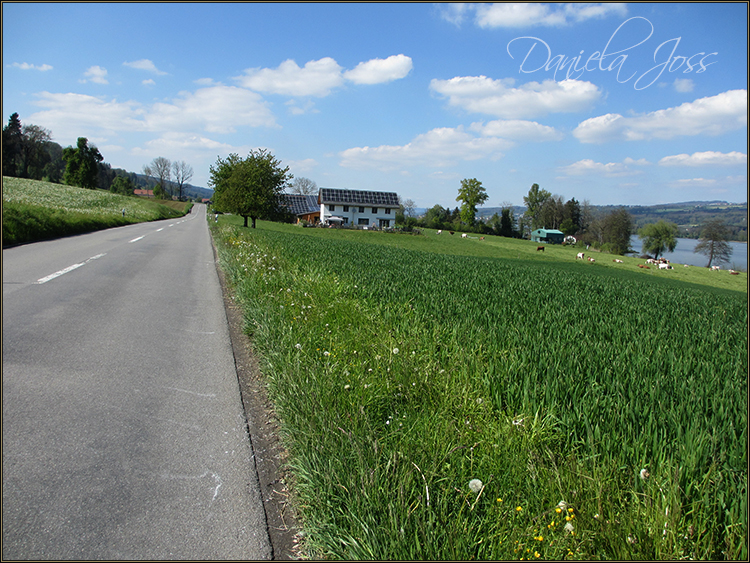 Daniela Joss - Baldegger See-Rundweg