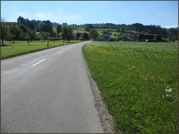 Daniela Joss - Baldegger See-Rundweg