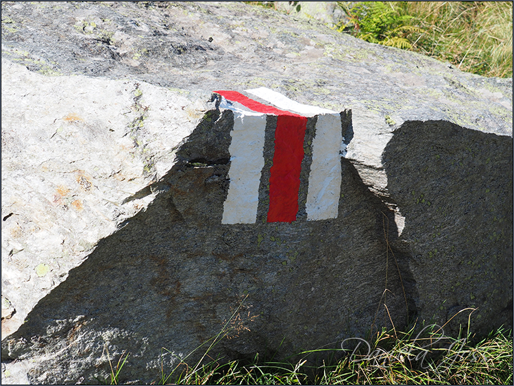 Daniela Joss Pässerundfahrt Susten, Furka, Grimsel