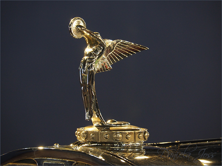 Daniela Joss Cité de l'automobile / Schlumpf-Museum