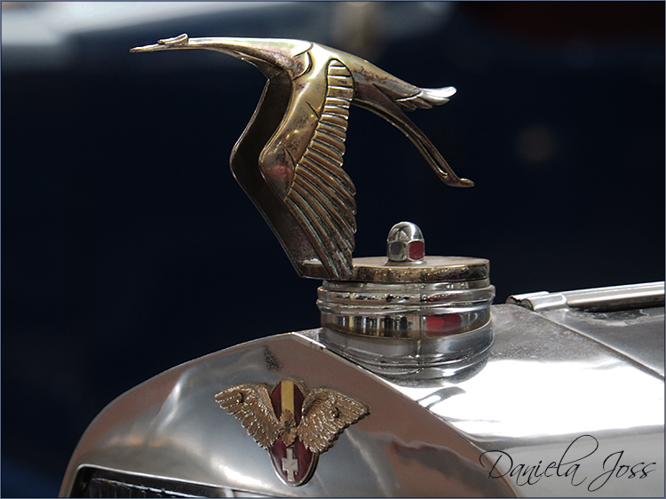 Daniela Joss Cité de l'automobile / Schlumpf-Museum