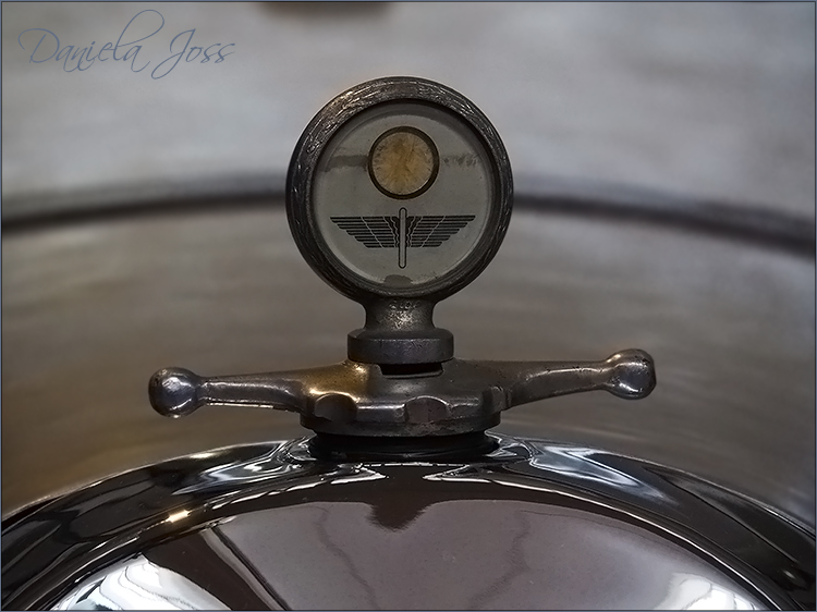 Daniela Joss Cité de l'automobile / Schlumpf-Museum
