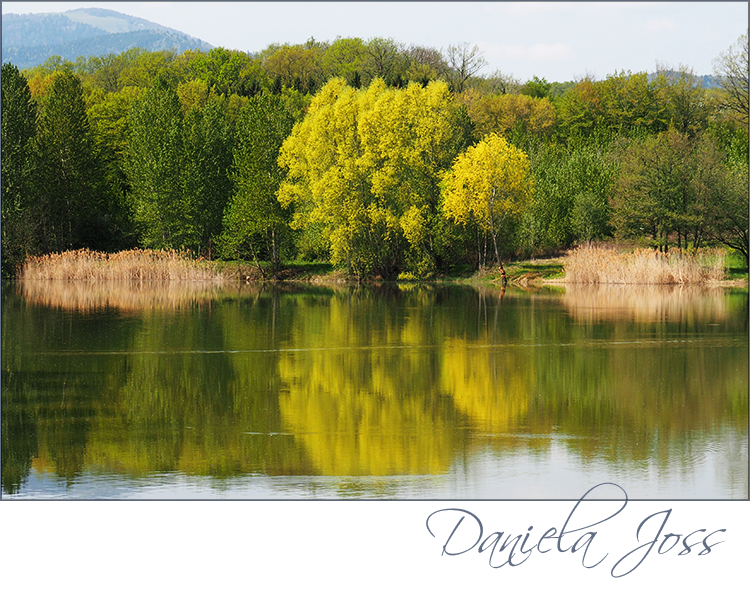 Daniela Joss Elsass Michelbach See