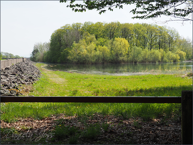 Daniela Joss Elsass Michelbach-Stausee