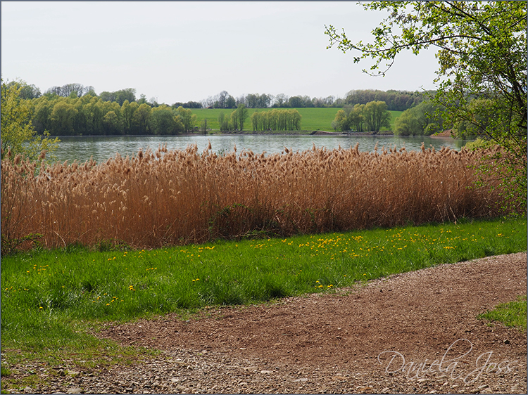 Daniela Joss Elsass Michelbach-Stausee