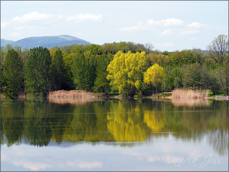 Daniela Joss Elsass Michelbach-Stausee