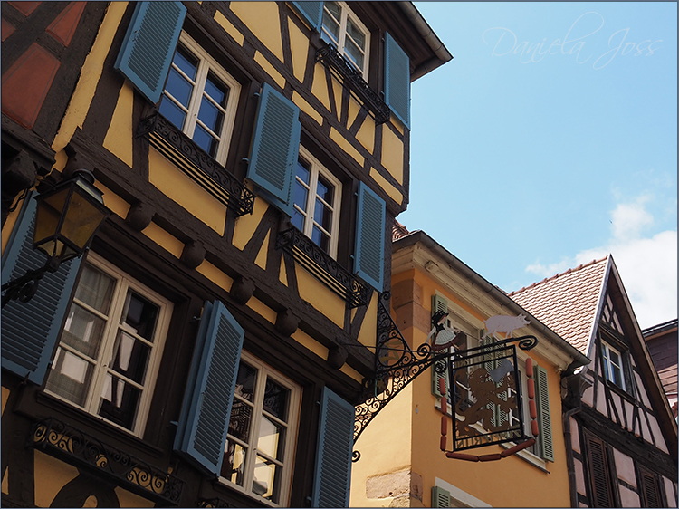 Daniela Joss Elsass Colmar
