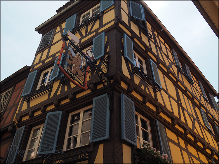 Daniela Joss Elsass Colmar