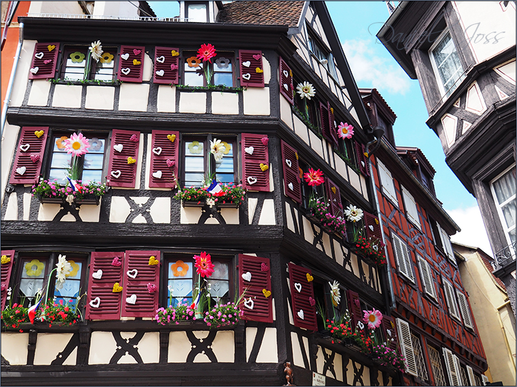 Daniela Joss Elsass Colmar