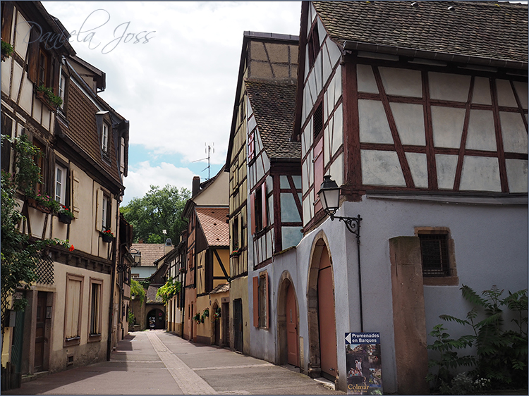 Daniela Joss Elsass Colmar