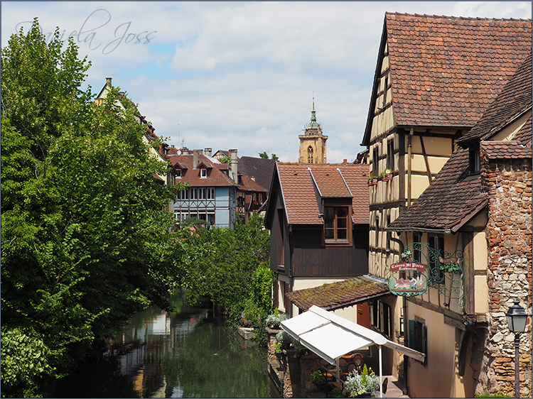 Daniela Joss Elsass Colmar