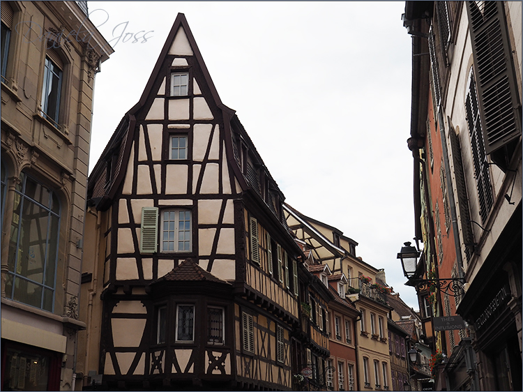 Daniela Joss Elsass Colmar