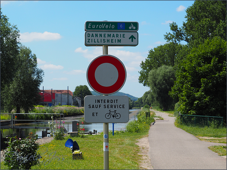 Daniela Joss Radtour Dannemarie - Mlhausen - Dannemarie