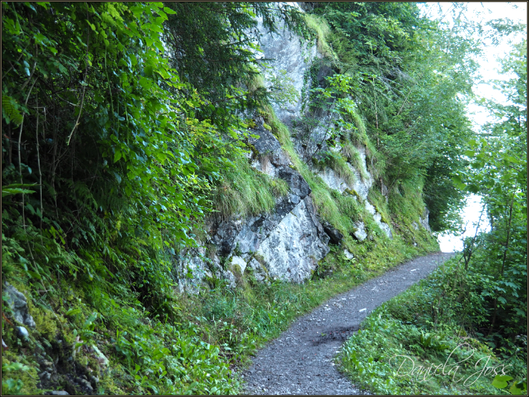 Daniela Joss - Von Iseltwald nach Giessbach auf dem See-Uferweg