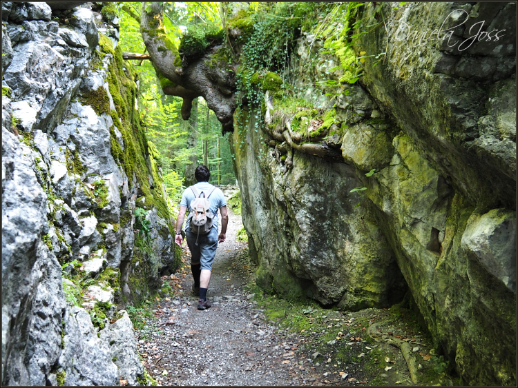 Daniela Joss - Von Iseltwald nach Giessbach auf dem See-Uferweg