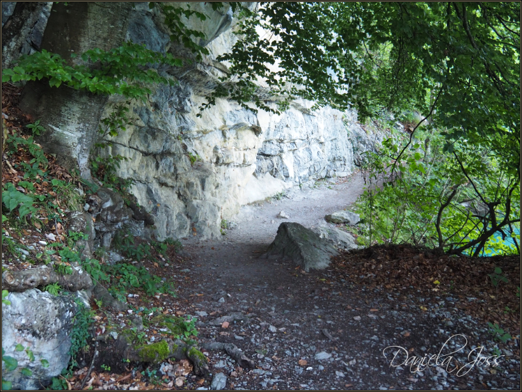 Daniela Joss - Von Iseltwald nach Giessbach auf dem See-Uferweg