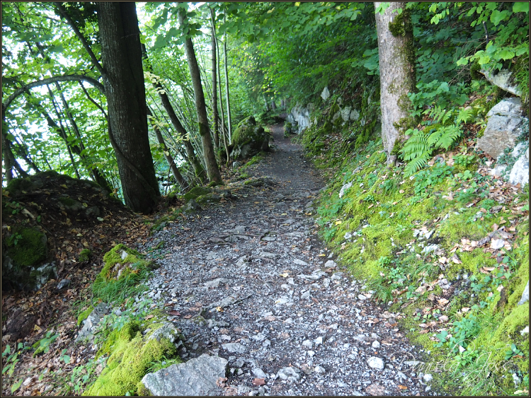 Daniela Joss - Von Iseltwald nach Giessbach auf dem See-Uferweg