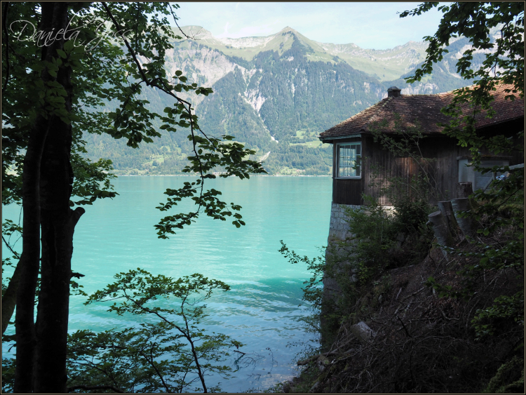 Daniela Joss - Von Iseltwald nach Giessbach auf dem See-Uferweg